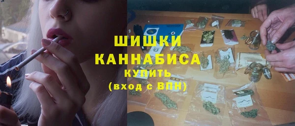 гидра Володарск
