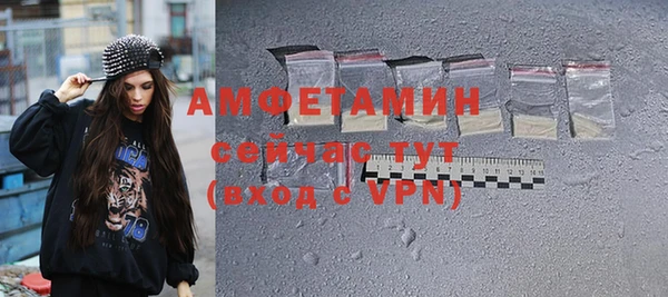 гидра Володарск