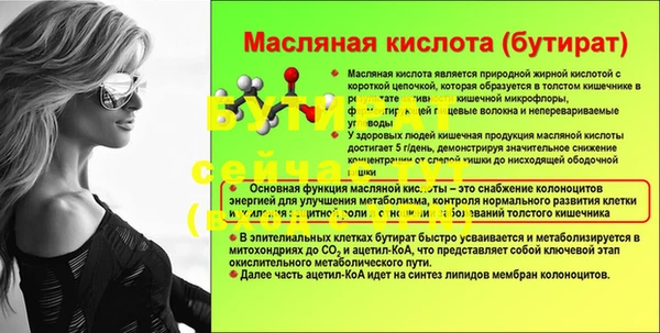гидра Володарск