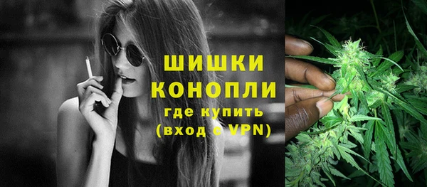 гидра Володарск