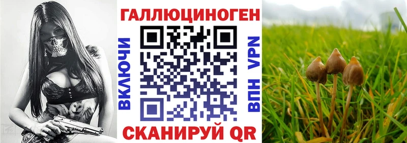 Купить где  Северская  Галлюциногенные грибы ЛСД 